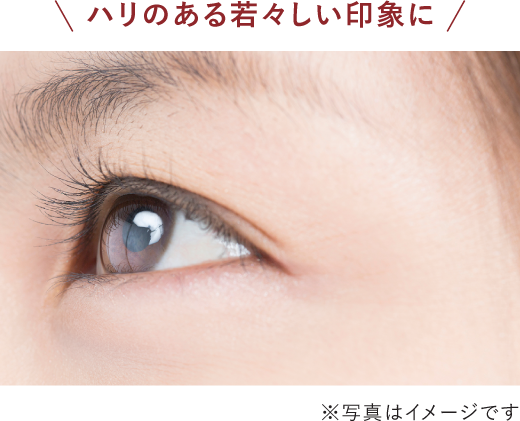 ハリのある若々しい印象に