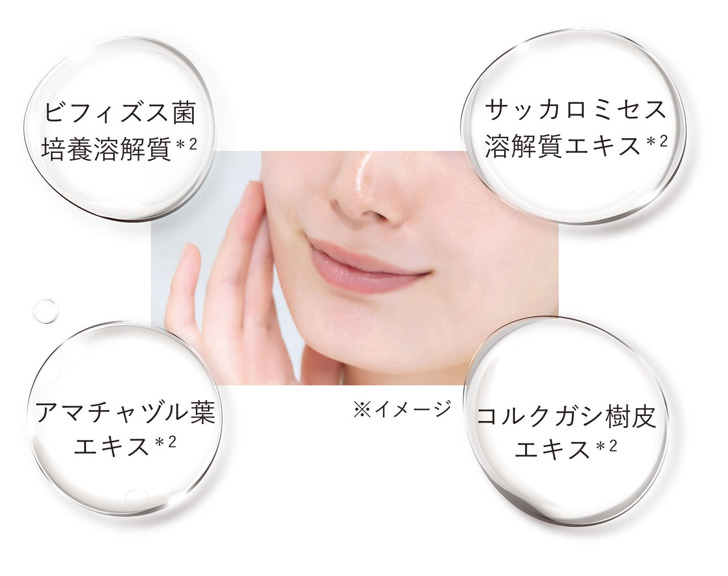 4種のキメ乱れケア成分