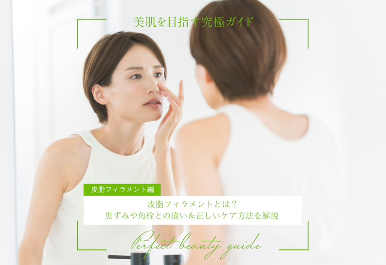 FV_皮脂フィラメントとは？黒ずみや角栓との違い＆正しいケア方法を解説 美肌を目指す究極ガイド（皮脂フィラメント編）