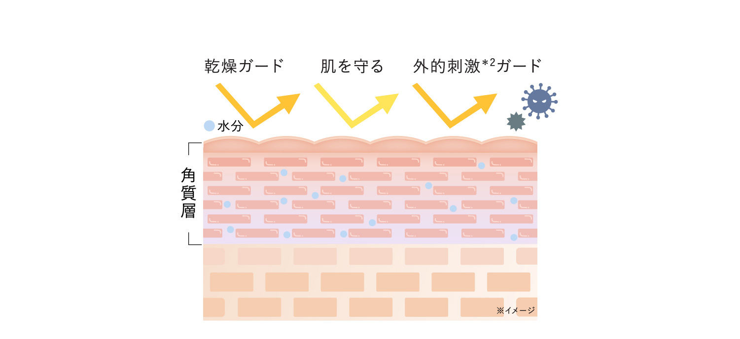 多機能モイスト成分のイメージ図