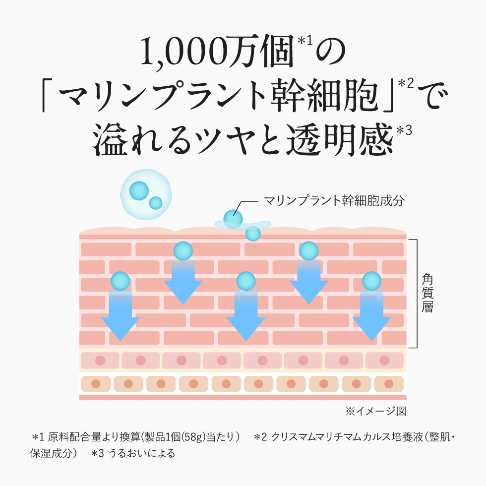 1,000万個の「マリンプラント幹細胞」で溢れるツヤと透明感