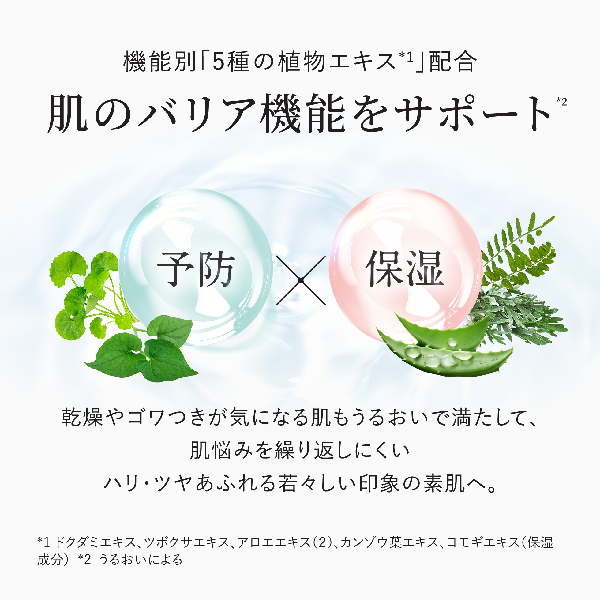 カナデル チューニングローションは機能別「5種の植物エキス」配合で肌のバリア機能をサポート
