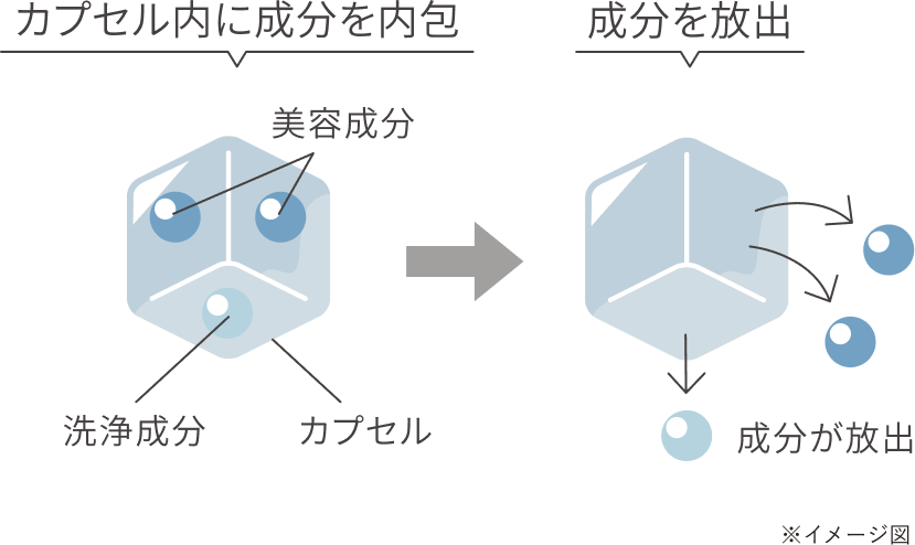 微粒子カプセル構造