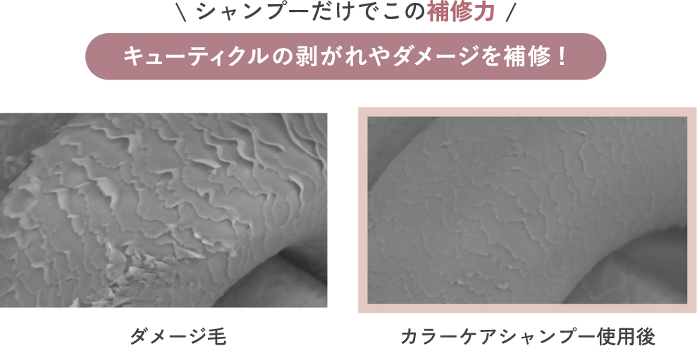 キューティクルの剥がれやダメージを補修!