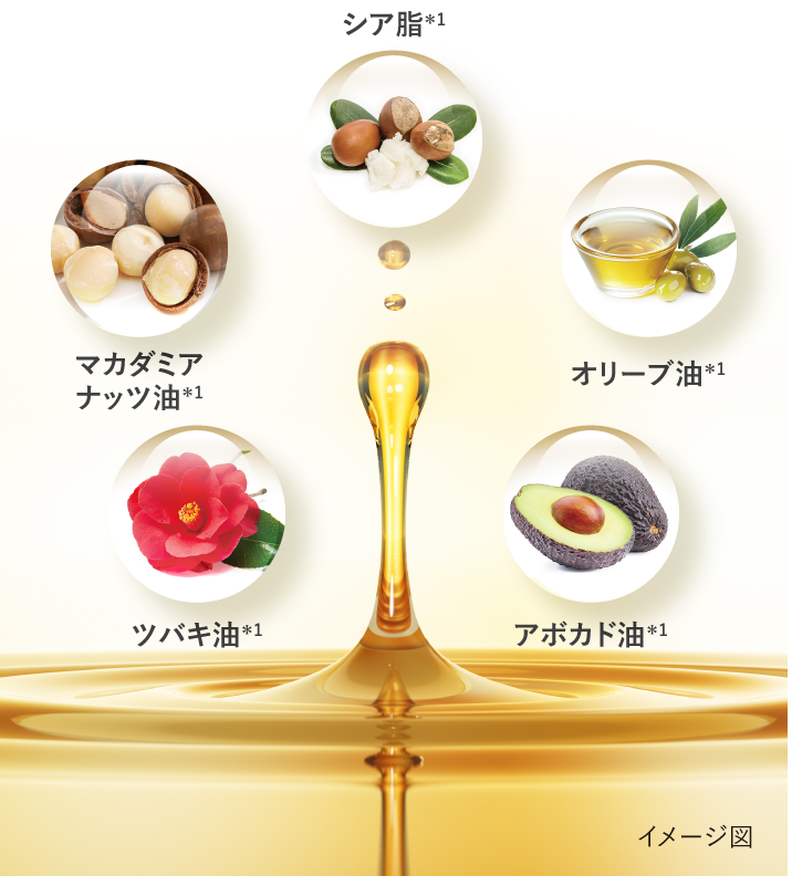 イメージ図
