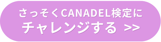 バナー_CANADEL検定