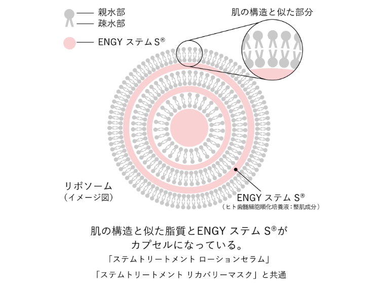 高濃度に配合した美容成分がぐんぐん肌へ届く＊1浸透テクノロジー​