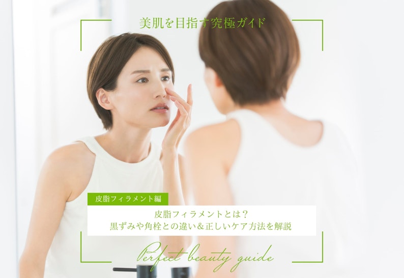 FV_皮脂フィラメントとは？黒ずみや角栓との違い＆正しいケア方法を解説 美肌を目指す究極ガイド（皮脂フィラメント編）