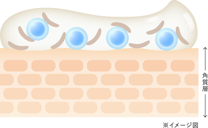 角質層