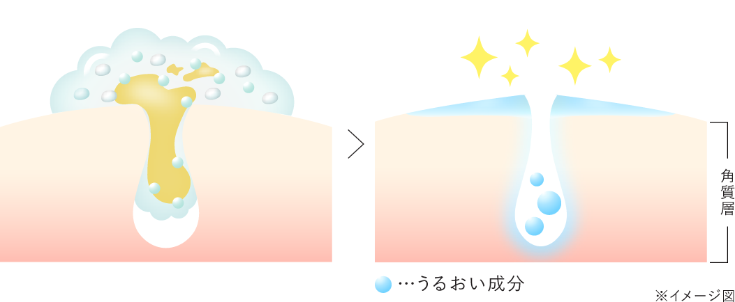 ワンプッシュで簡単、キメ細かなもっちりホイップ泡！