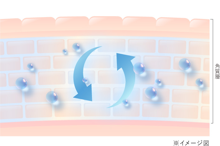角質層