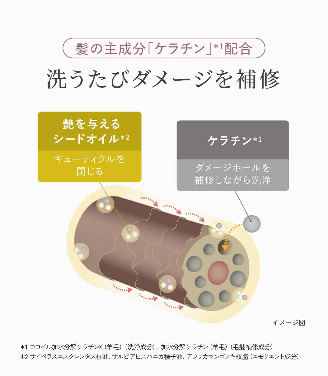 クレイスパ カラーケアシャンプー ダメージ補修の画像