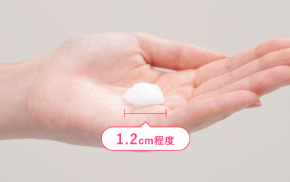 使用量の目安
