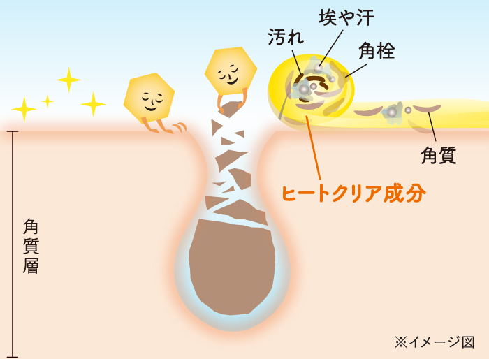 角質層