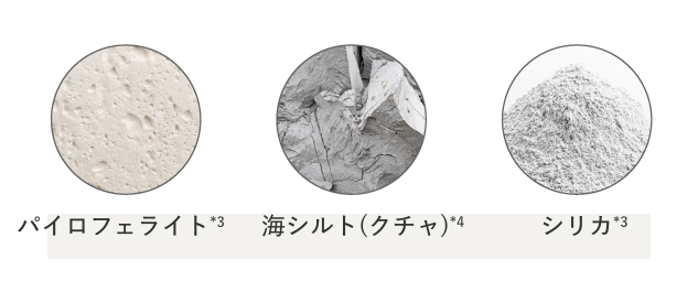 パイロフェライト 海シルト(クチャ) シリカ