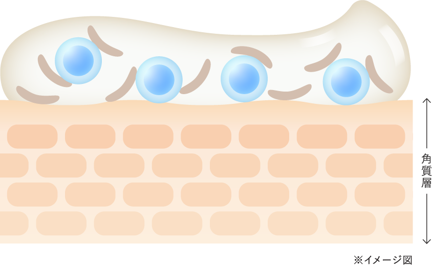 角質層