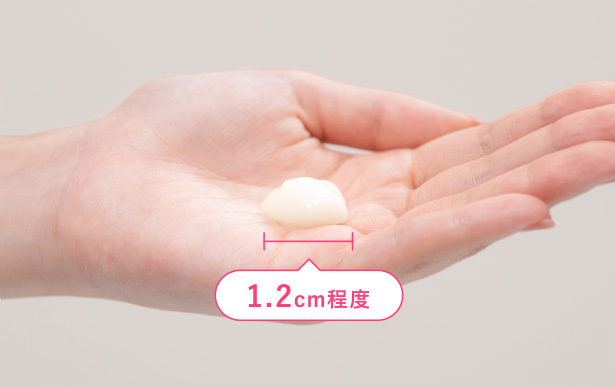 使用量の目安