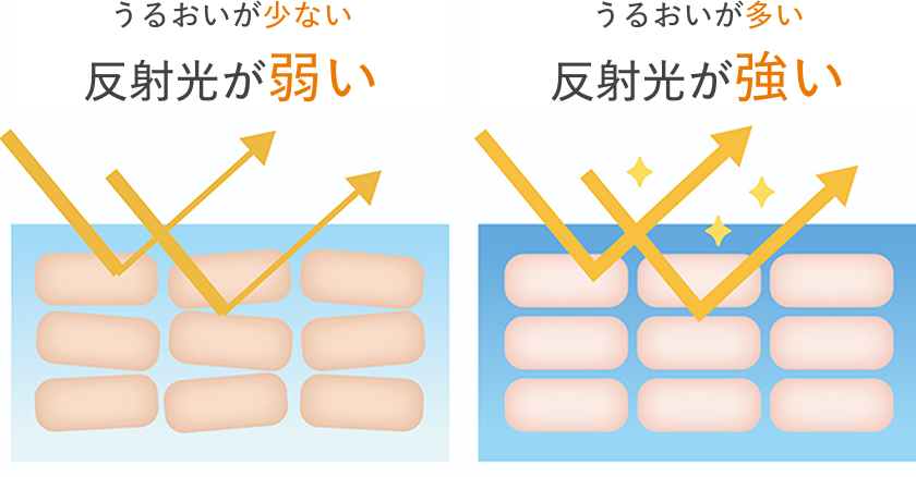 うるおいが少ない反射光が弱い肌　うるおいが多い反射光が強い肌