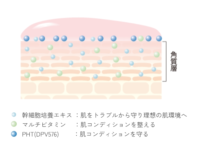 日々の肌をケアし、美肌成分を補い、常に理想的な肌状態へ導く​