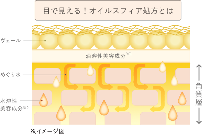 目で見える!オイルスフィア処方とは