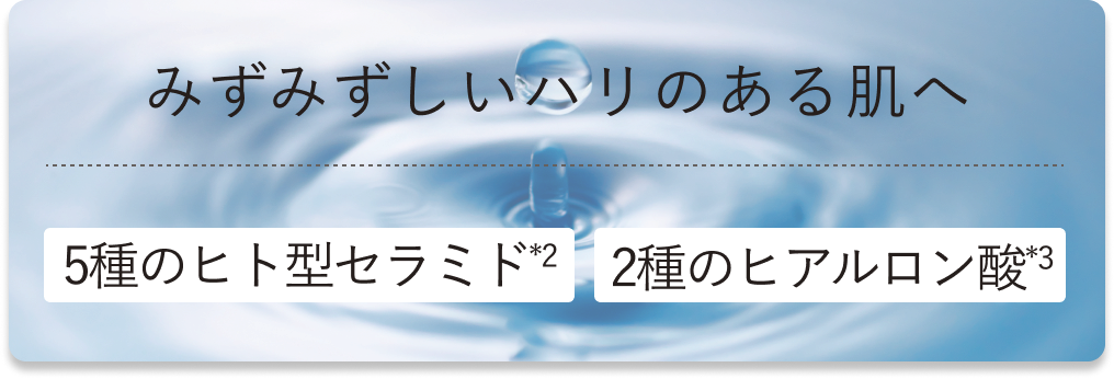 5種のヒト型セラミドと2種のヒアルロン酸がみずみずしいハリのある肌へ