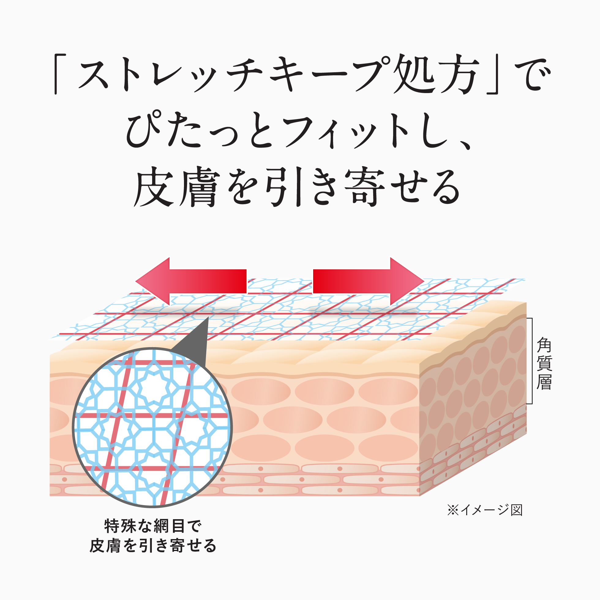 「ストレッチキープ処方」でぴたっとフィットし、 皮膚を引き寄せる