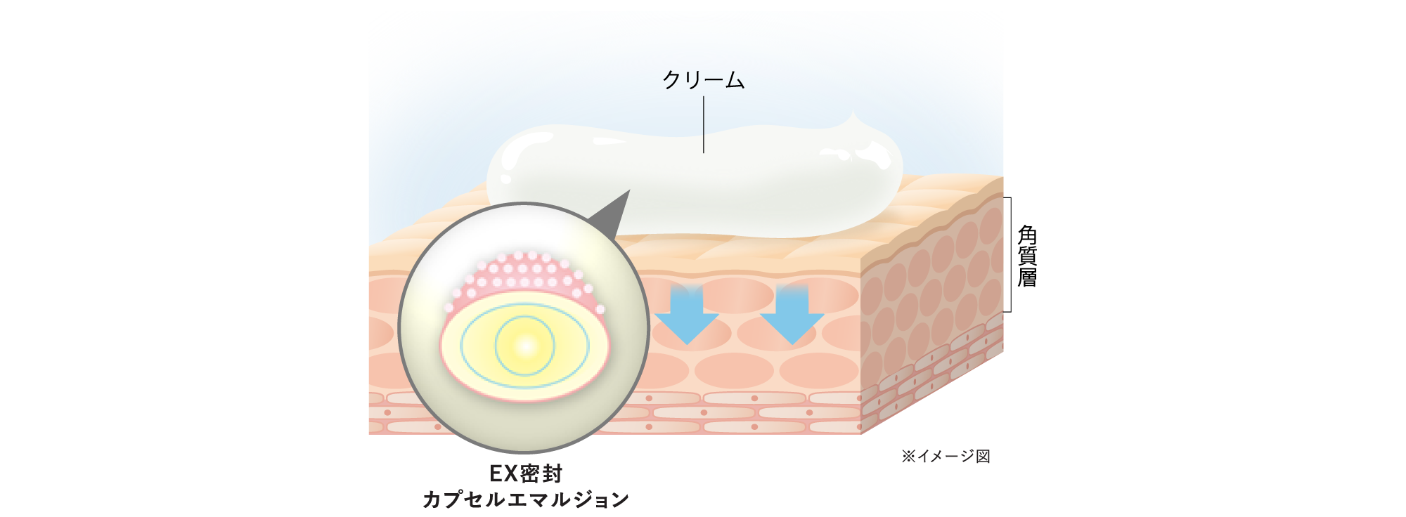 EX密封カプセルエマルジョンのイメージ図