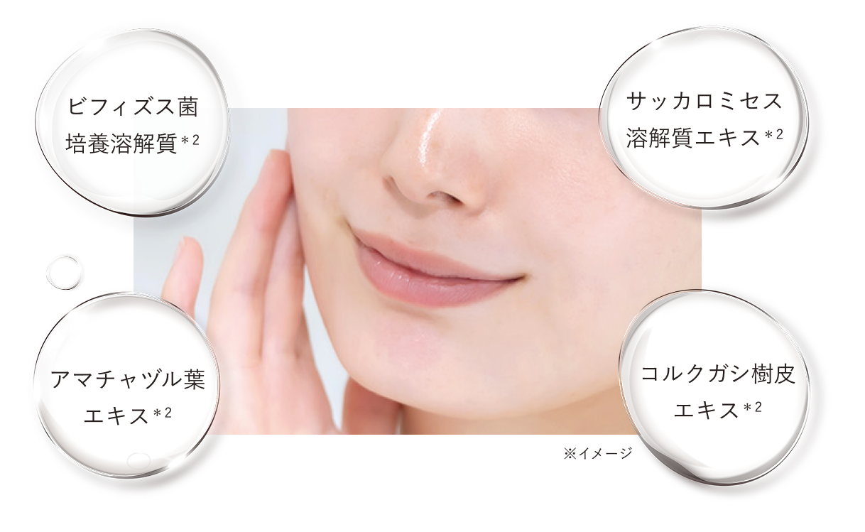 4種のキメ乱れケア成分