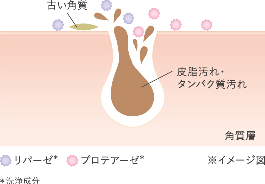 DUO ザ ウォッシュ ブラックリペア_図解_酵素
