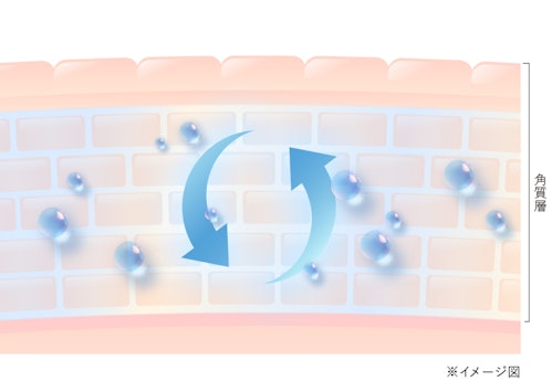 肌図
