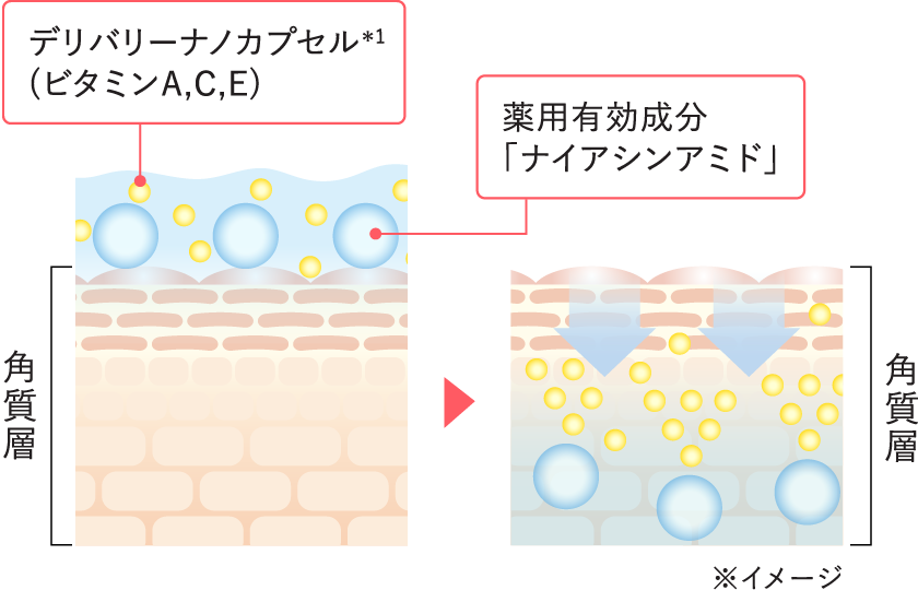デリバリーナノカプセルのイメージ図