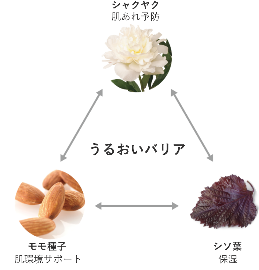 3種の和漢由来成分がなめらかな肌にアプローチ