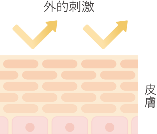 肌あれを防いで、健やかな肌環境へ