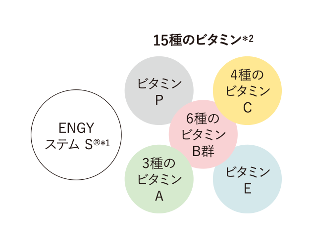 ​「ENGY ステム S®」＊1と15種のビタミン＊2を配合​
