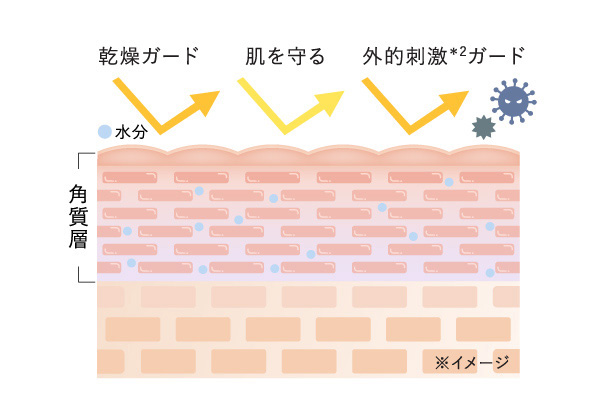 多機能モイスト成分のイメージ図