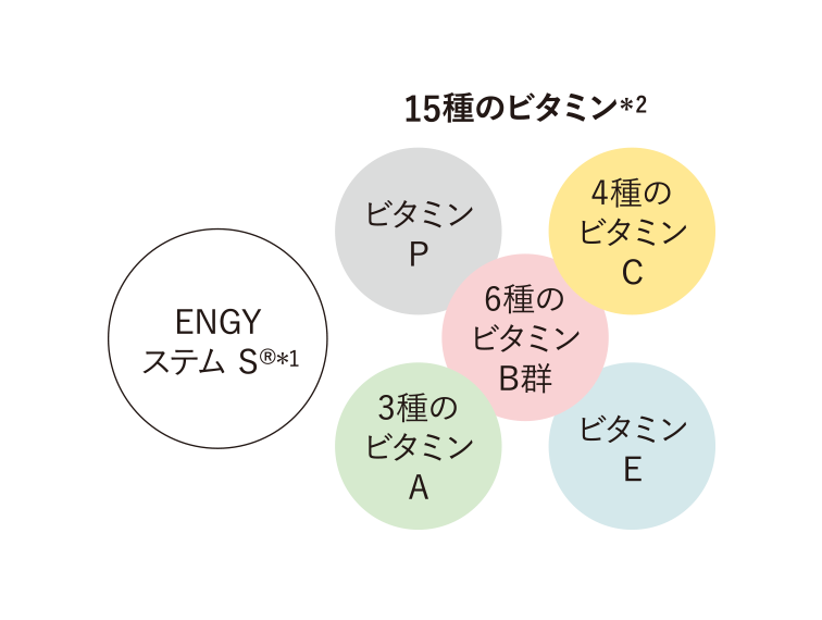 ​「ENGY ステム S®」＊1と15種のビタミン＊2を配合​