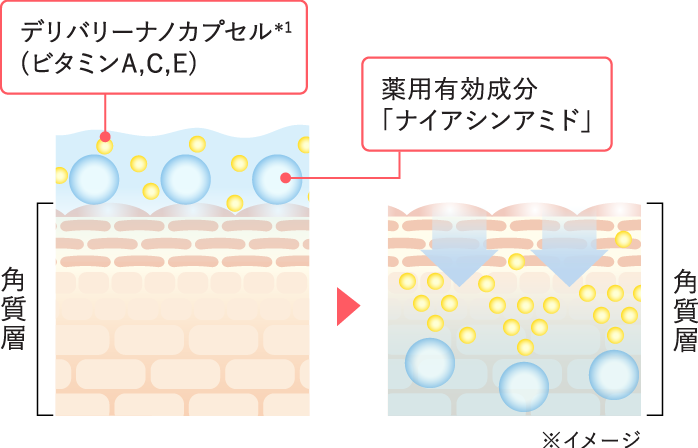 デリバリーナノカプセルのイメージ図
