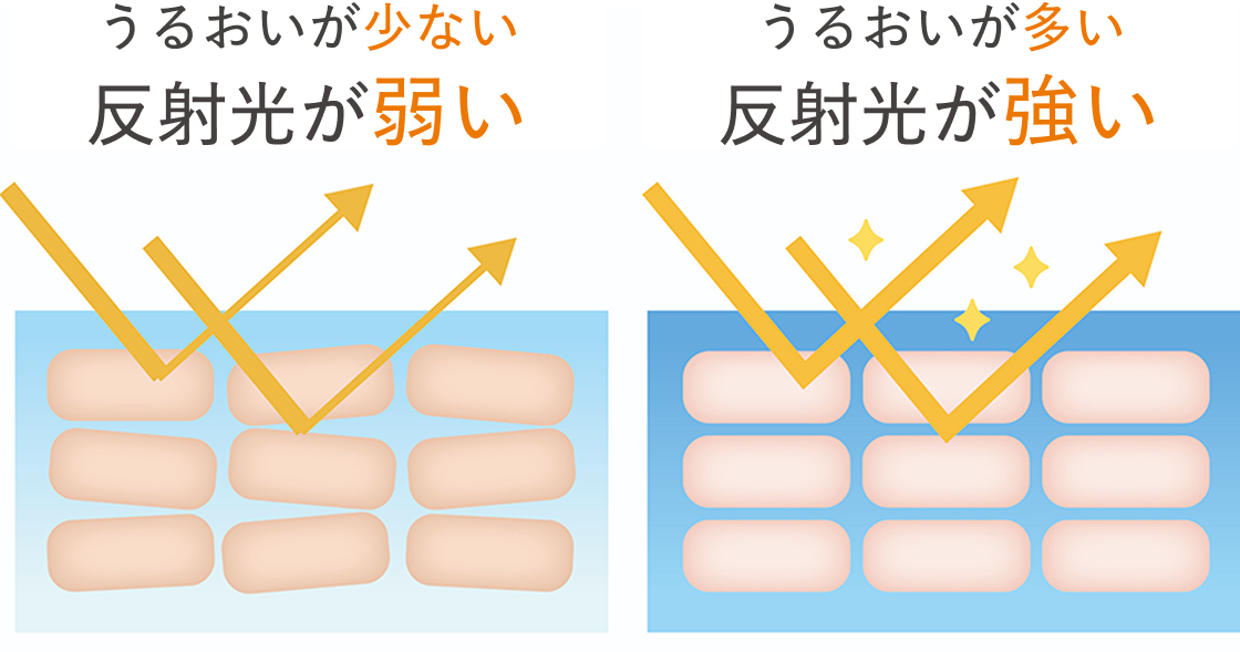うるおいが少ない反射光が弱い肌　うるおいが多い反射光が強い肌