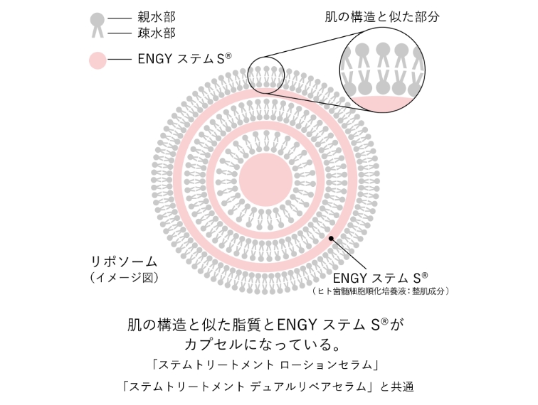 角質層への浸透力をサポートするリポソーム化とコメ発酵エキス＊1のベース​