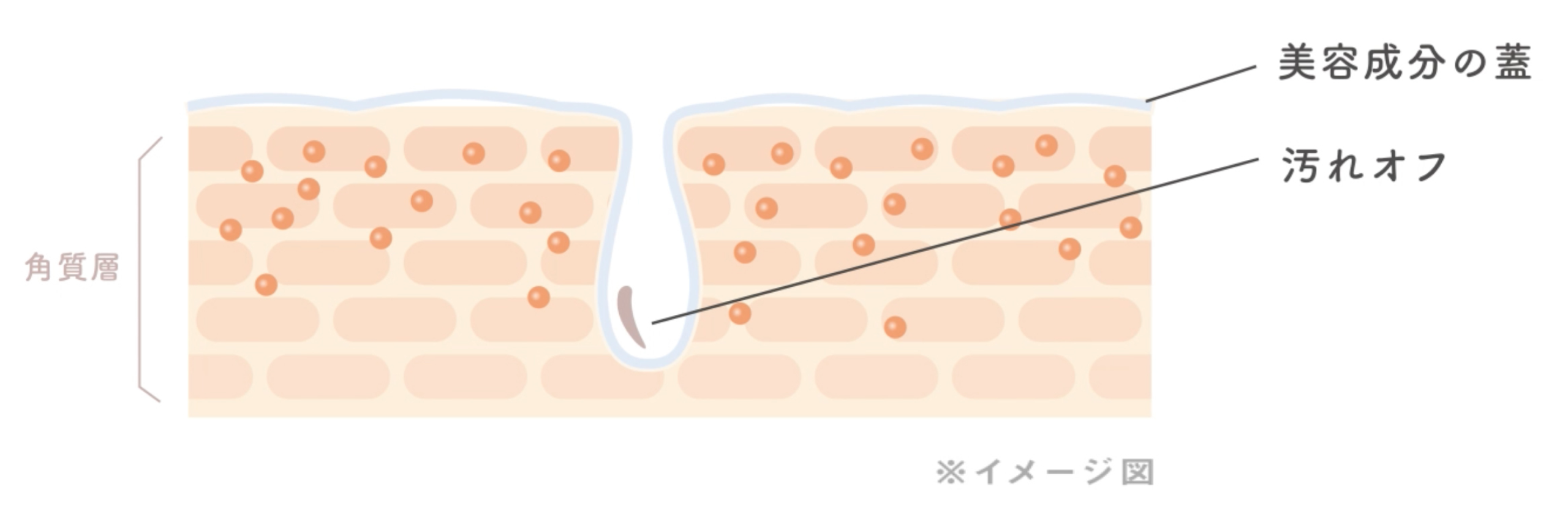 ⑤図解_微粒子カプセルの仕組み_洗浄後_イラストイメージ_SPver
