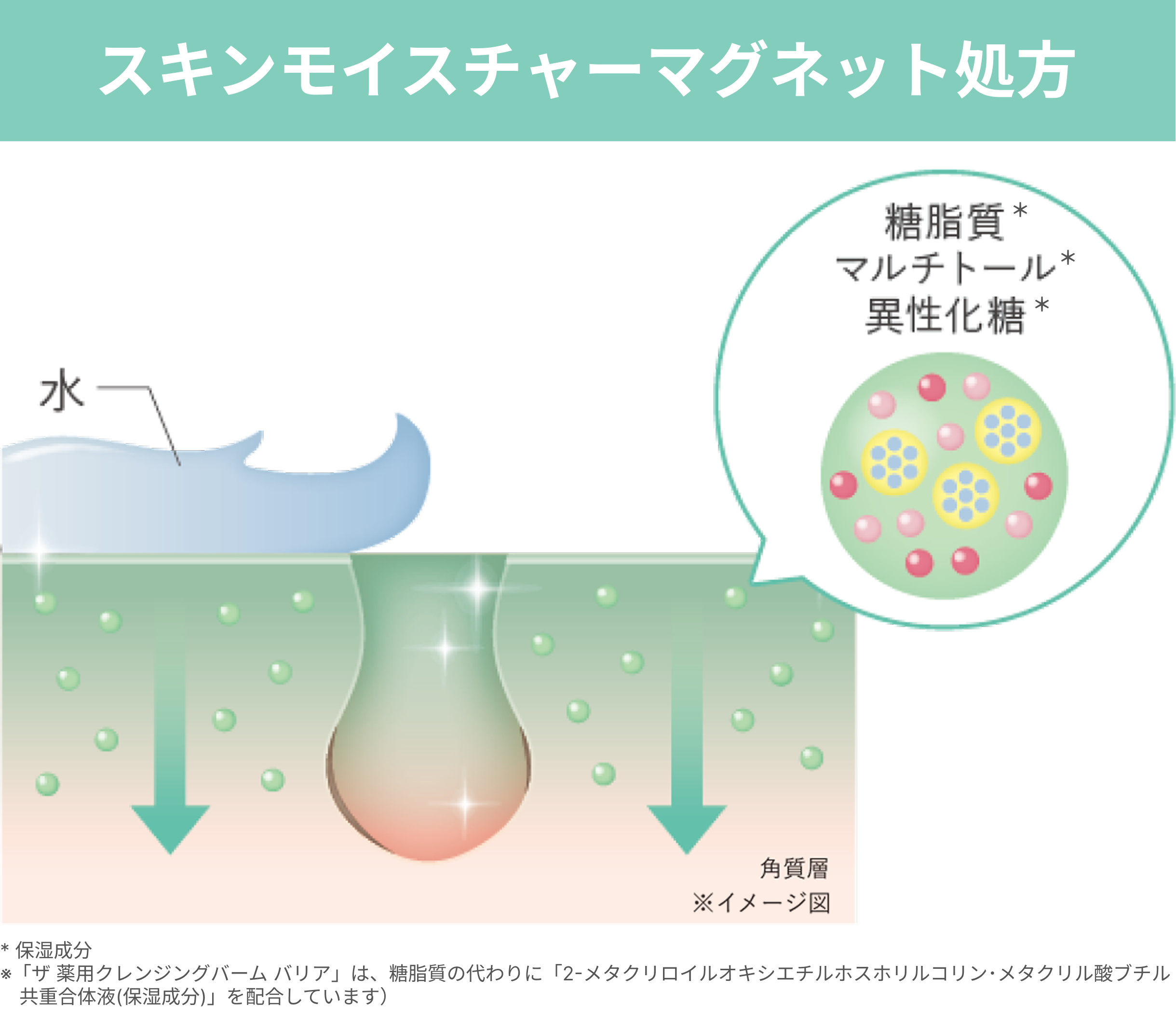 スキンモイスチャーマグネット処方