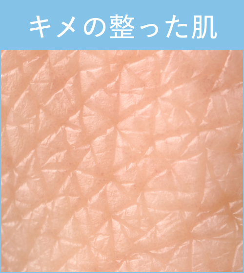 キメの整った肌