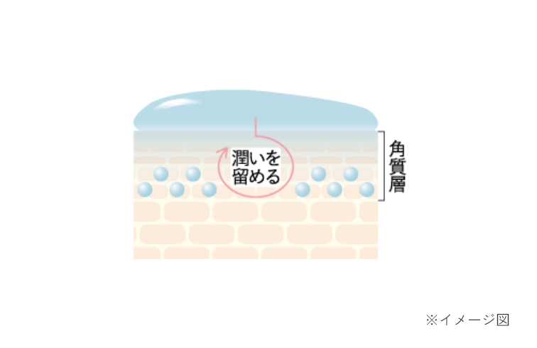 浸透テクノロジーで、潤いをしっかり送り込み、留める＊1
