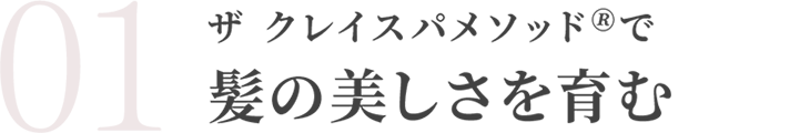 ザ クレイスパメソッド🄬で髪の美しさを育む