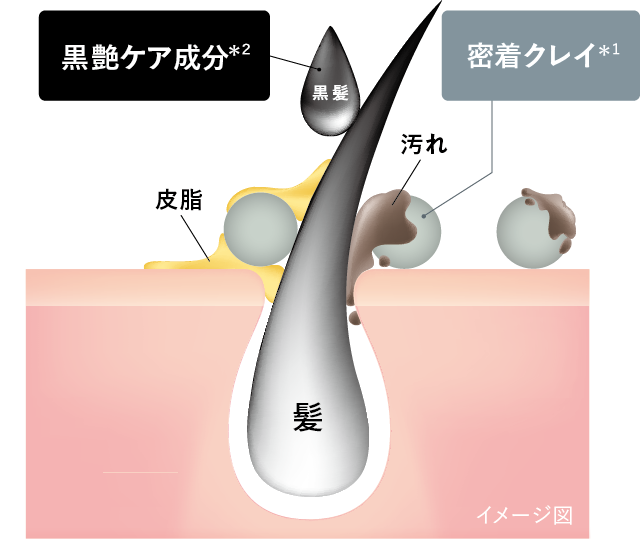 イメージ図