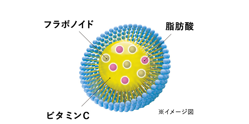 ブーストビタミンCを使用