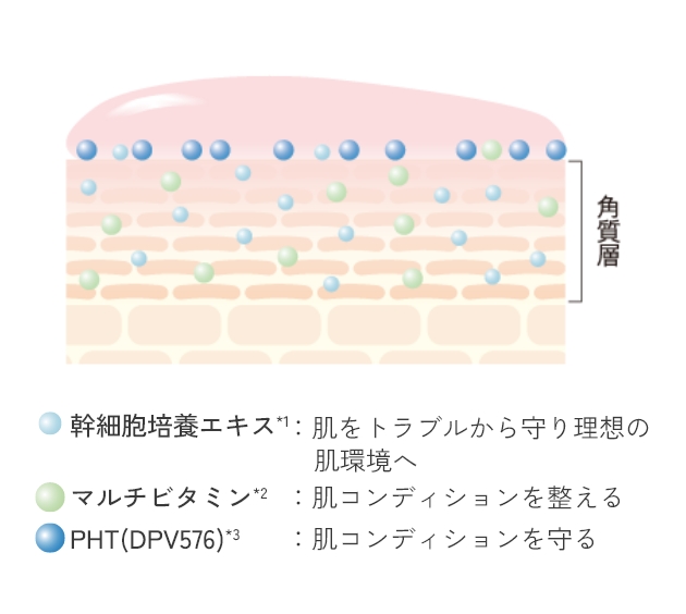 日々の肌をケアし、美肌成分を補い、常に理想的な肌状態へ導く​