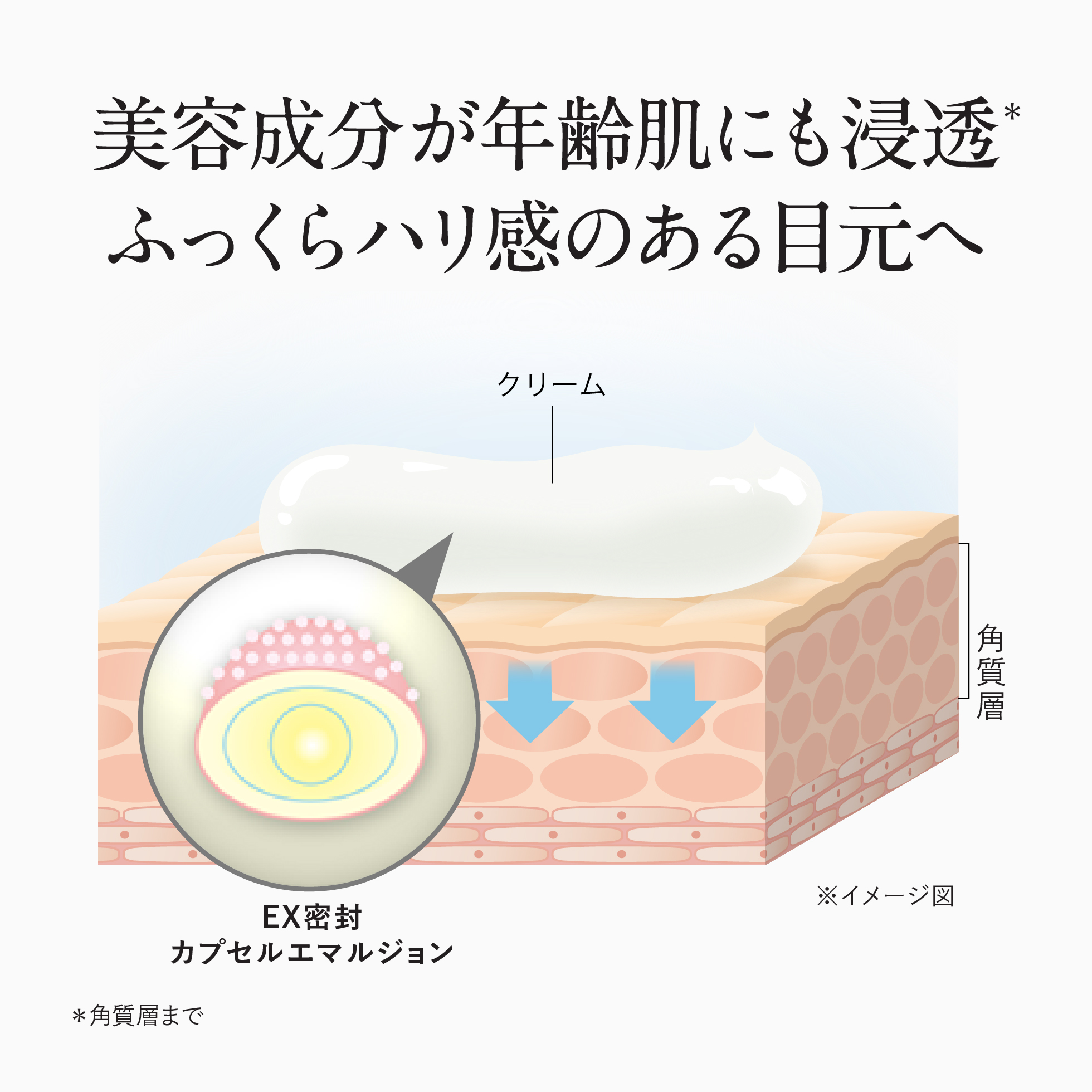 美容成分が年齢肌にも浸透。ふっくらハリ感のある目元へ
