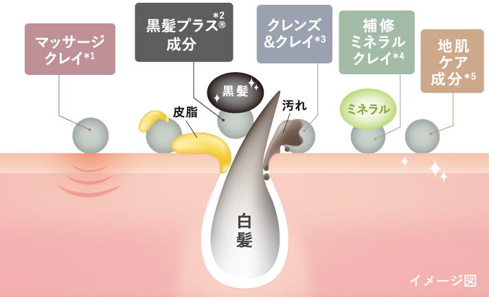 イメージ図