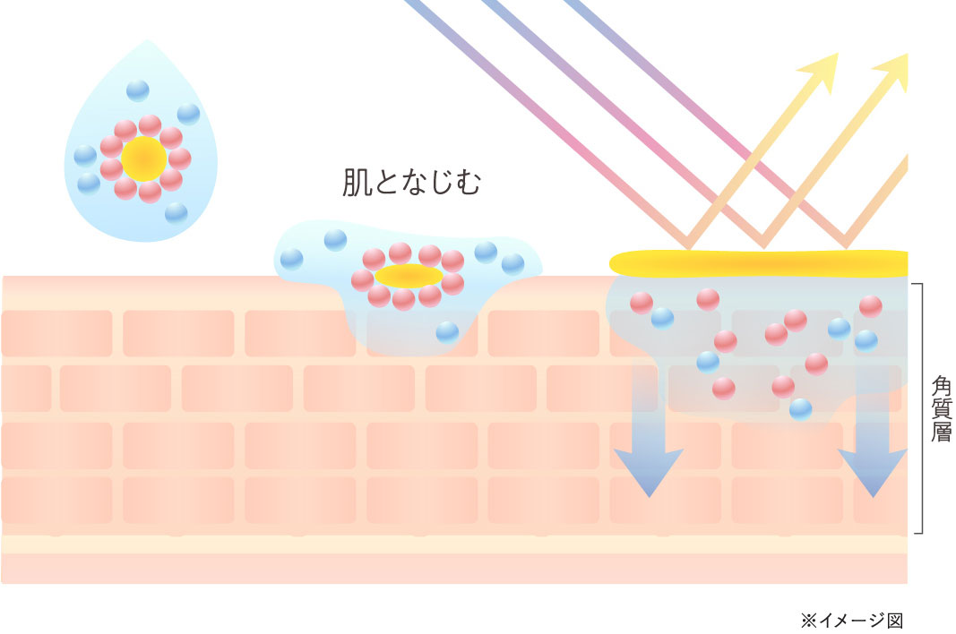 なめらかな肌なじみのイメージ図